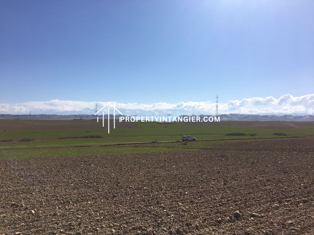 Purchase farm in Manar, Tangier. Area 71000 m².