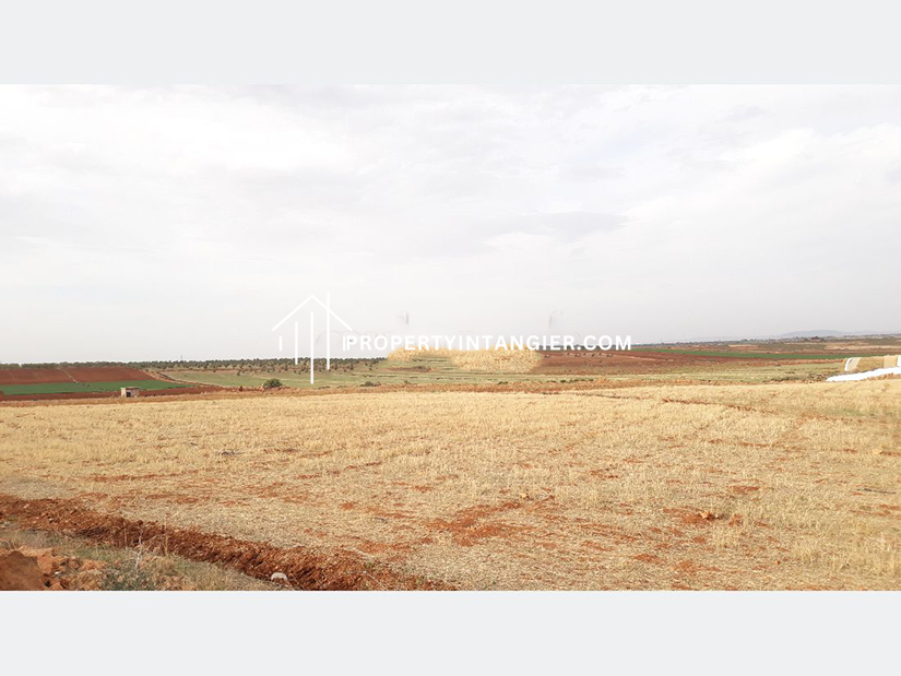 Farm to purchase in Iberia, Tangier 2023