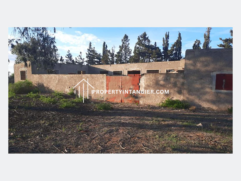 Farm for sale in Malabata, Tangier 2023