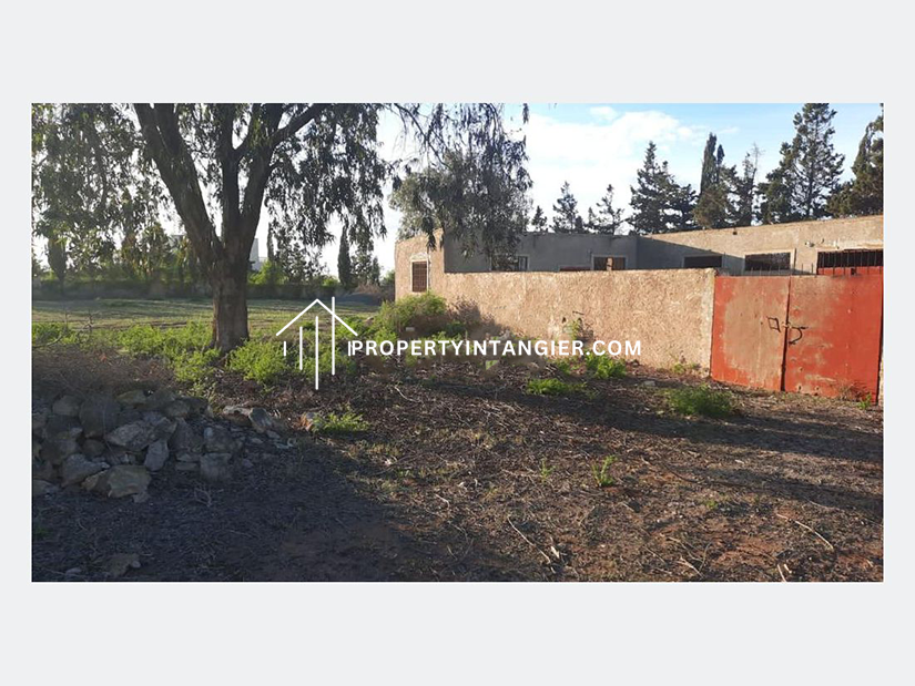 Farm for sale in Ksar es-Seghir, Tangier 2023