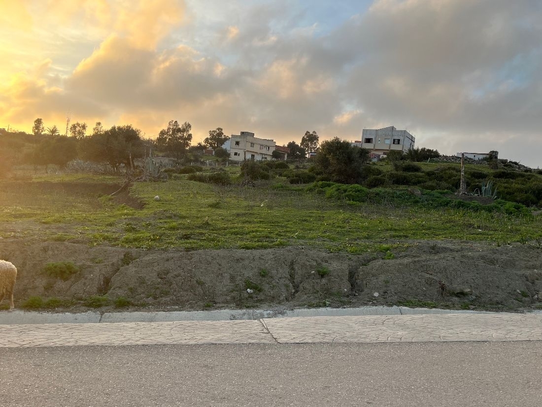 Farm to buy in Manar, Tangier 2023