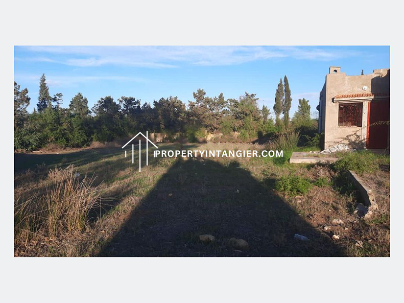 Farm for sale in Malabata, Tangier 2023