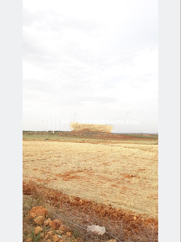 Farm to purchase in Iberia, Tangier 2023