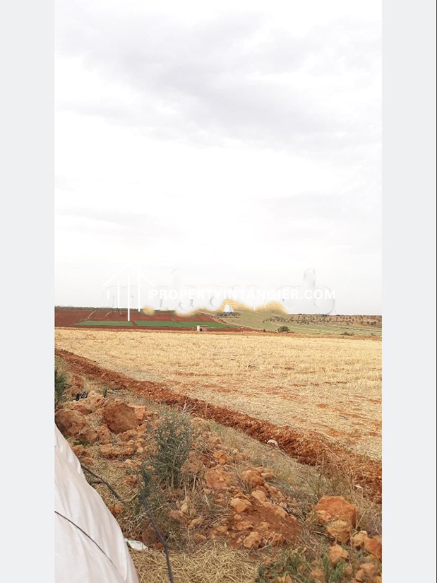 Farm to purchase in Iberia, Tangier 2023