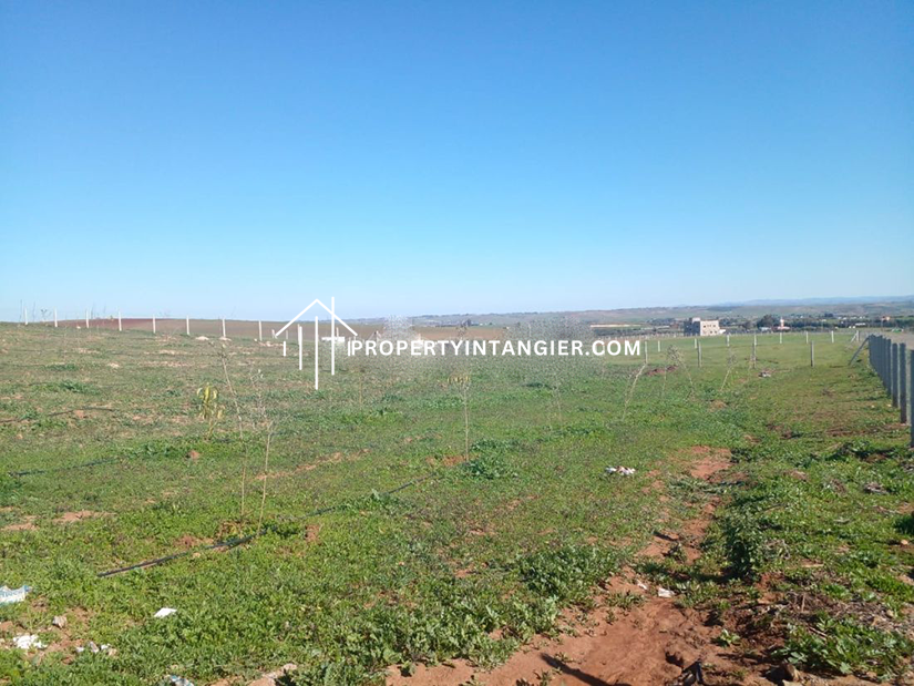 Farming estates for sale in Achakar, Tangier 2023