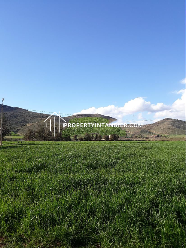 Farming land for sale in Achakar, Tangier 2023