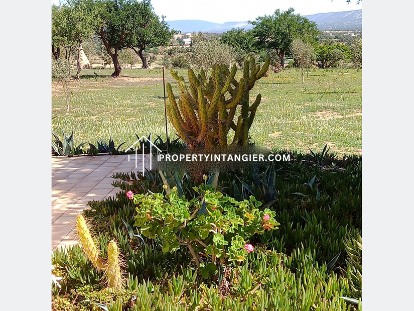 Nice farms for sale in Achakar, Tangier 2023