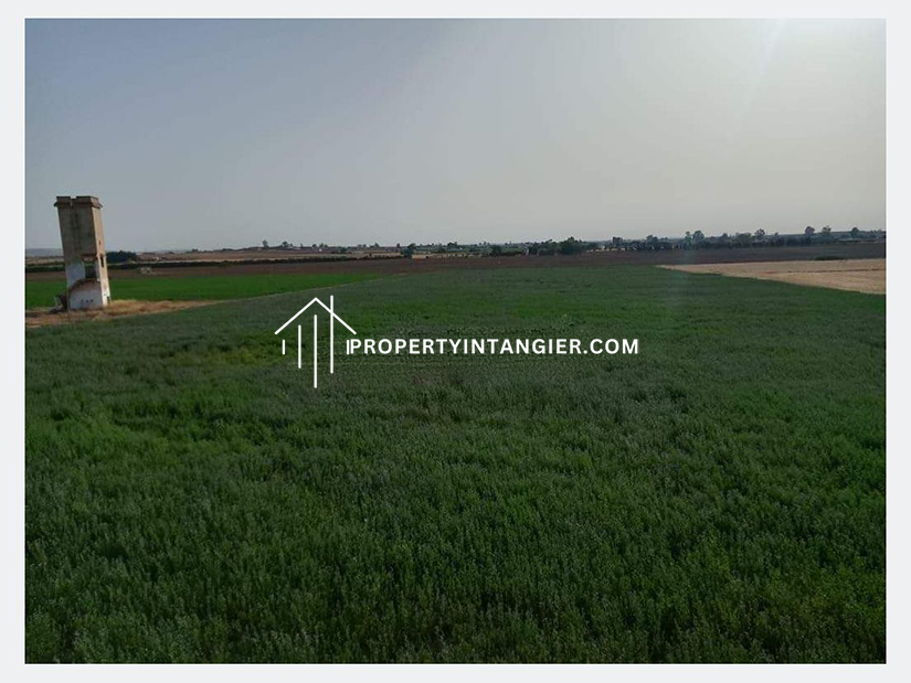 Property farm for sale Achakar, Tangier 2023