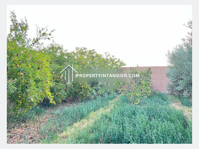 Farm to buy in Achakar Tangier 2023