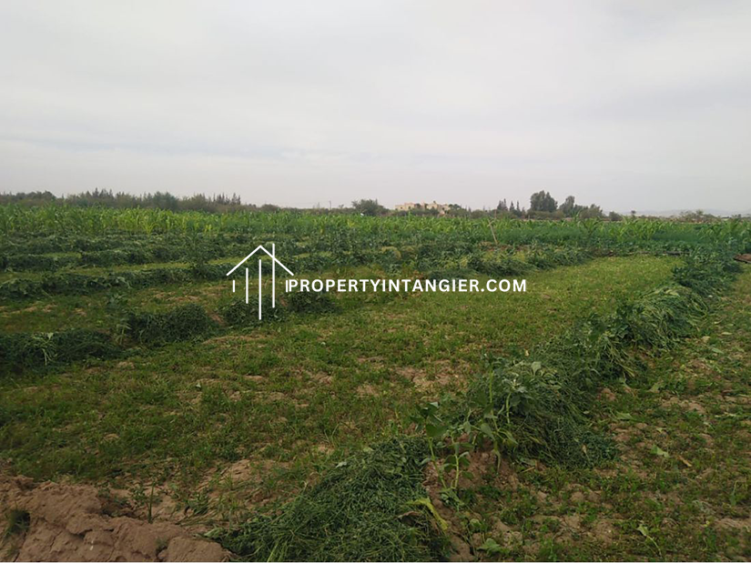 Achakar farm for sale 2023| Tangier Morocco