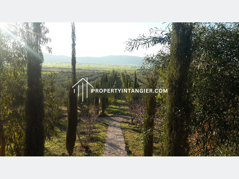Purchase farms in Achakar, Tangier 2023