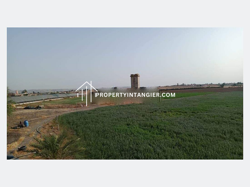 Property farm for sale Achakar, Tangier 2023