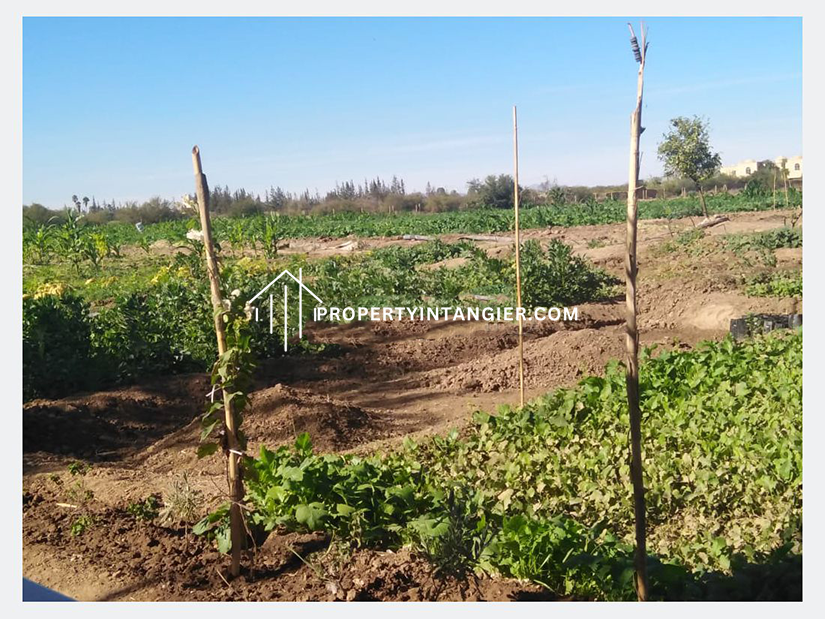 Achakar farm for sale 2023| Tangier Morocco