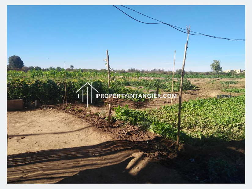 Achakar farm for sale 2023| Tangier Morocco