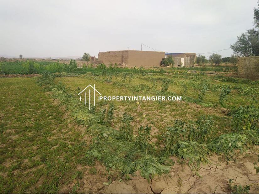 Achakar farm for sale 2023| Tangier Morocco
