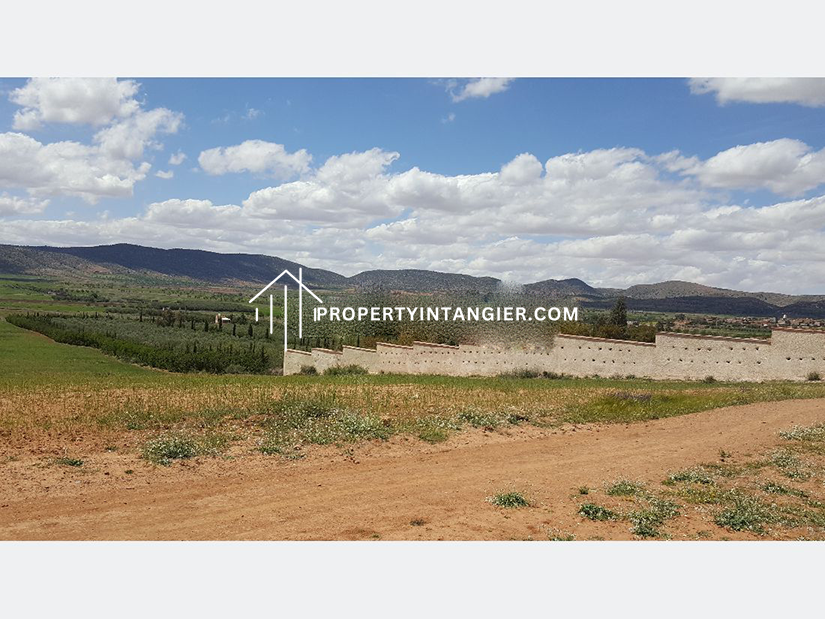 Purchase farms in Achakar, Tangier 2023