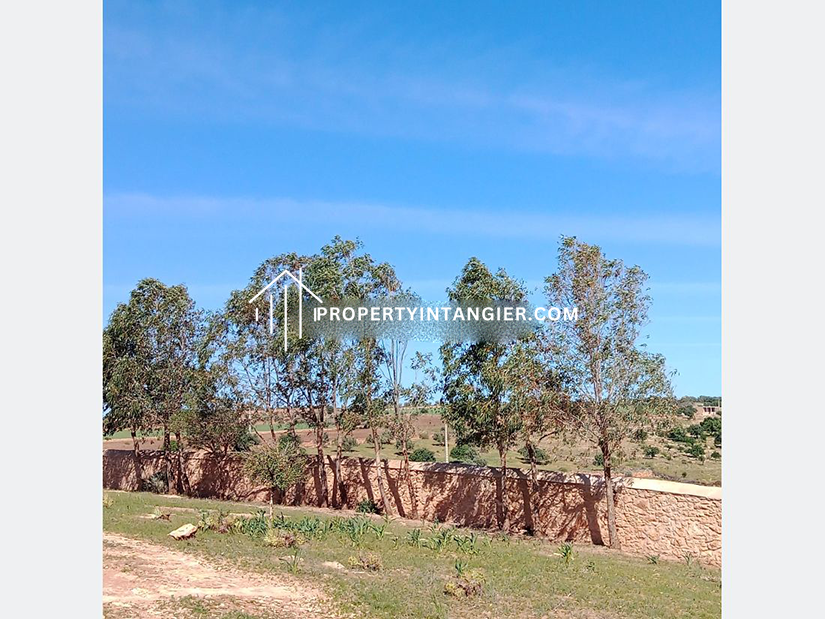 Nice farms for sale in Achakar, Tangier 2023