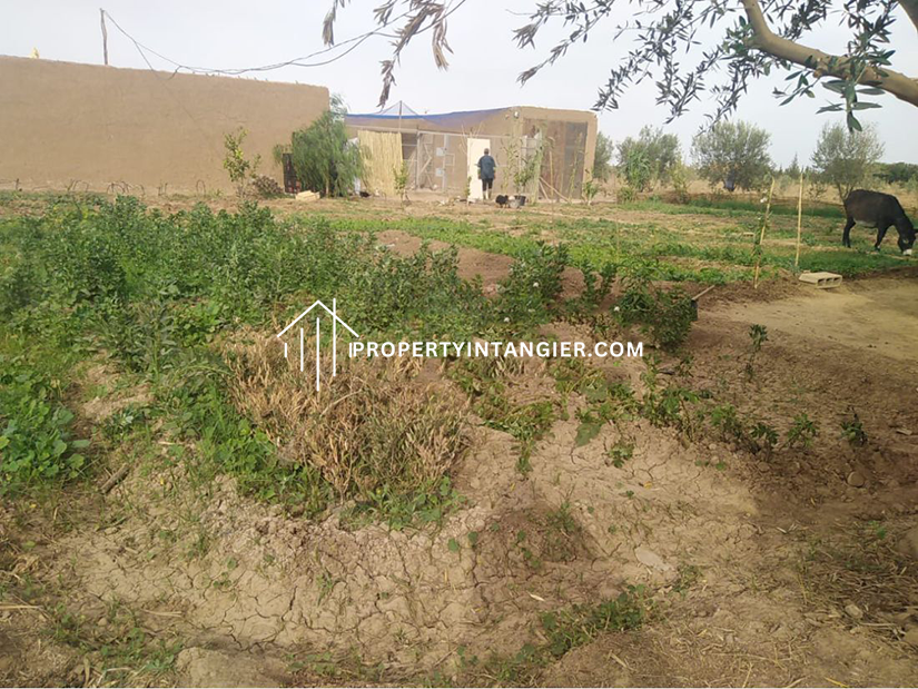 Achakar farm for sale 2023| Tangier Morocco