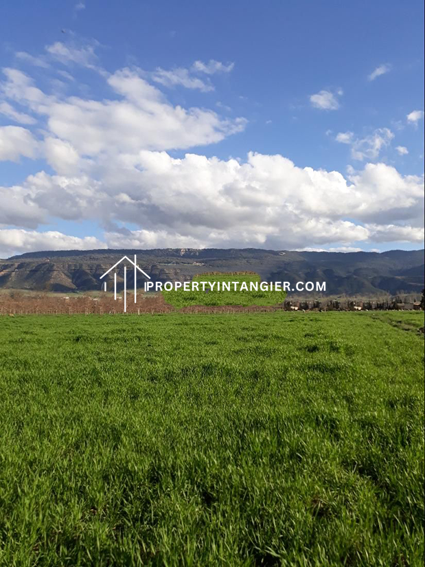 Farming land for sale in Achakar, Tangier 2023