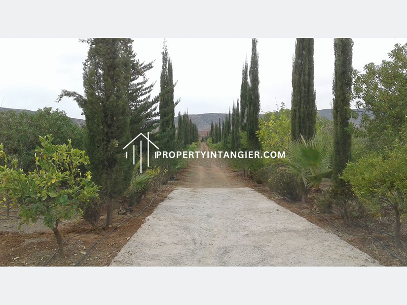 Purchase farms in Achakar, Tangier 2023