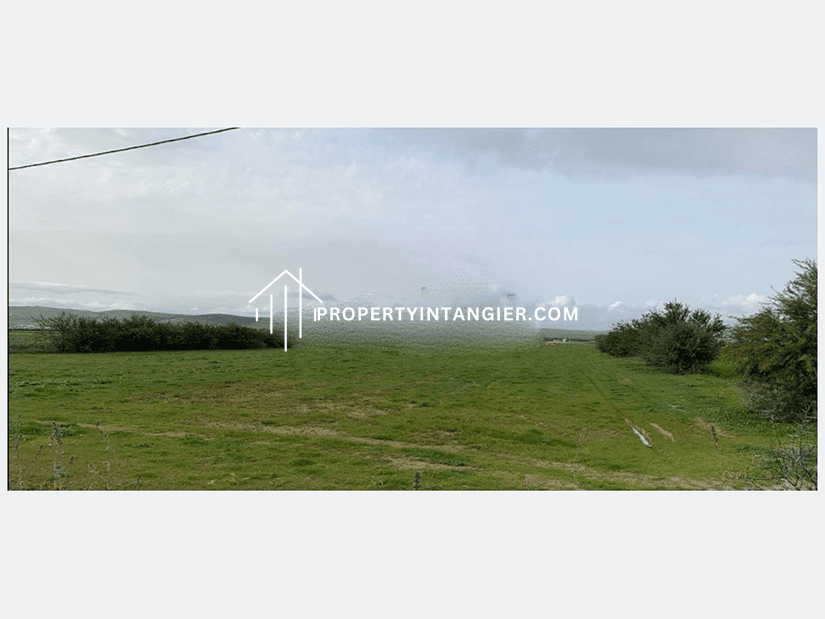 Nice farm for sale in Harhoura, Tangier 2023