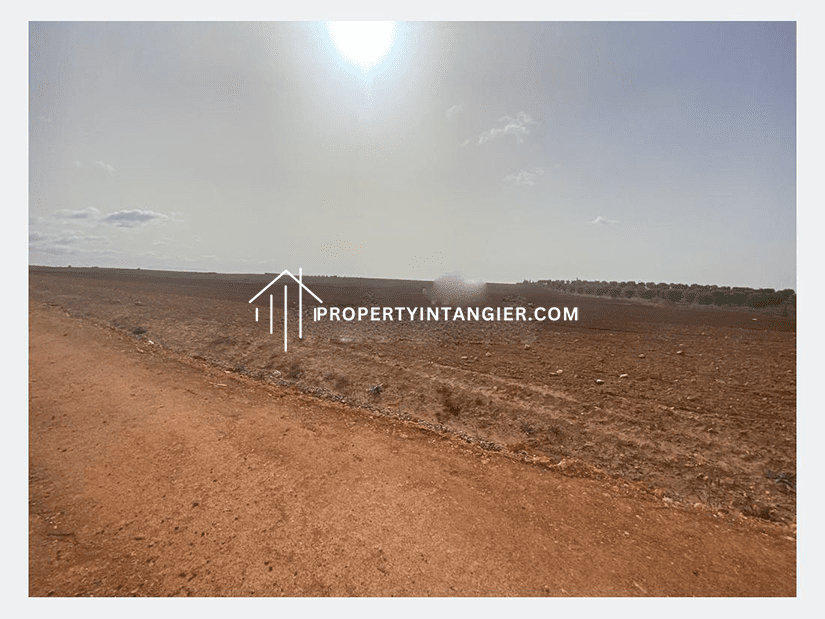 Nice farm for sale in Ksar es-Seghir, Tangier 2023