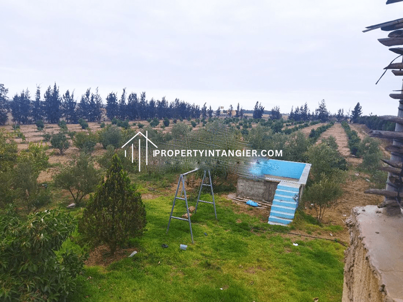 Farmland for sale in Ain Lahcen, Tangier 2023