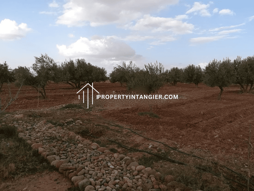 Farm for sale in Ksar es-Seghir, Tangier 2023