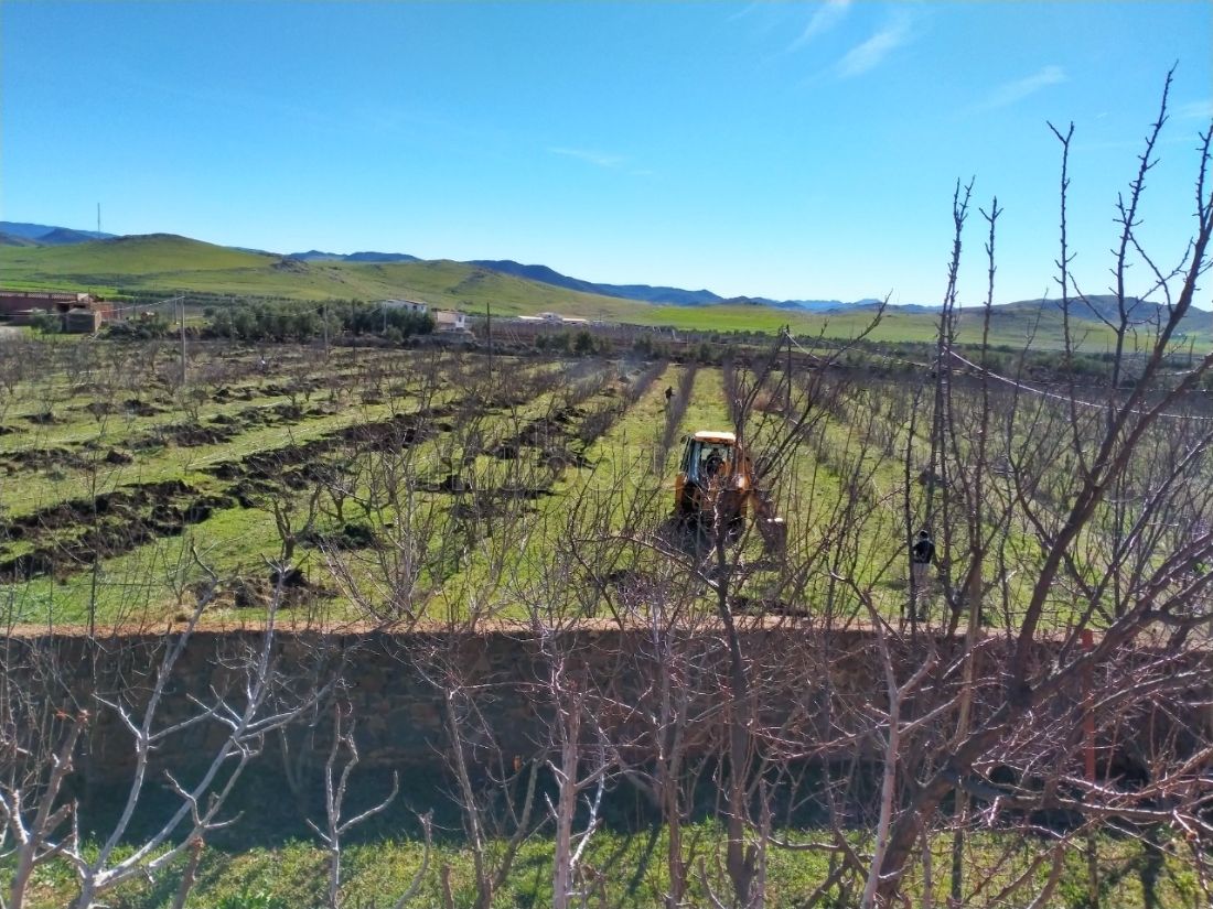 Farm to buy In Jbel Kbir, Tangier 2023