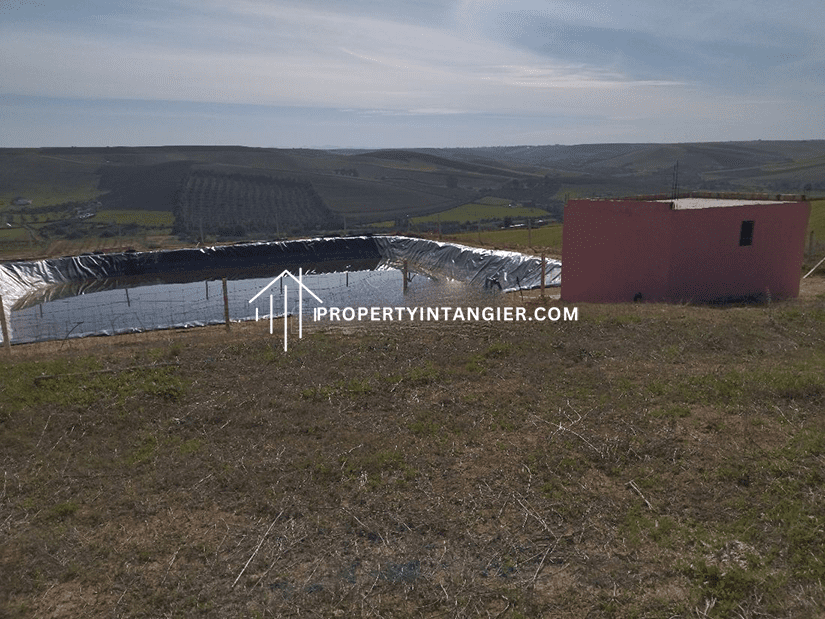 Farm to purchase in Achakar, Tangier 2023