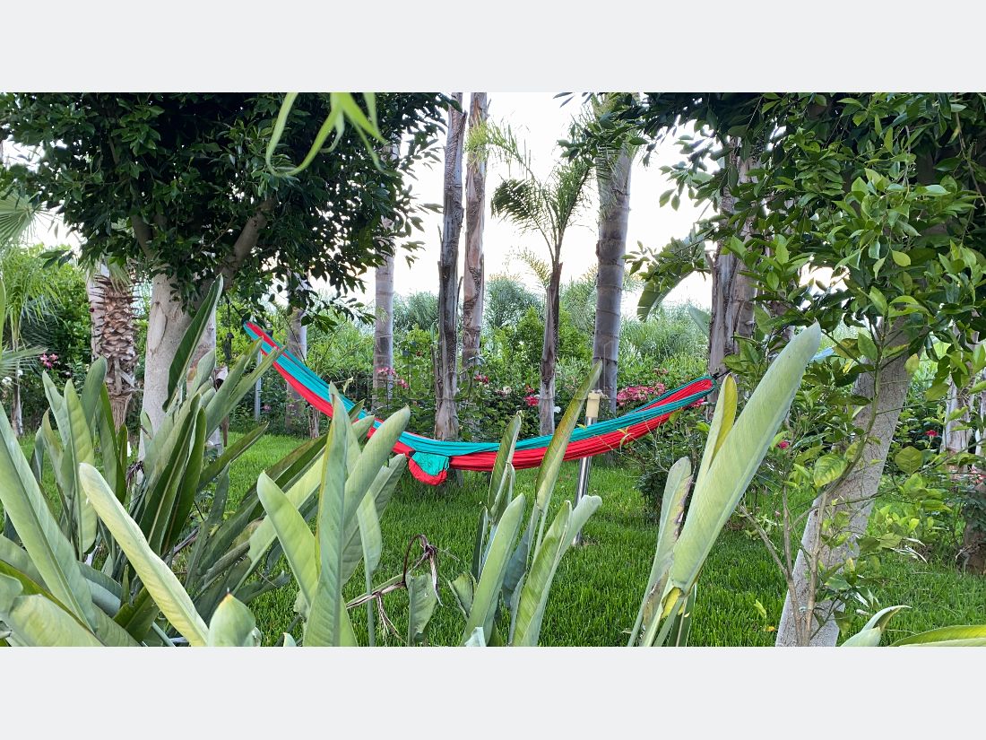 Farm to purchase in Jbel Kbir, Tangier 2023
