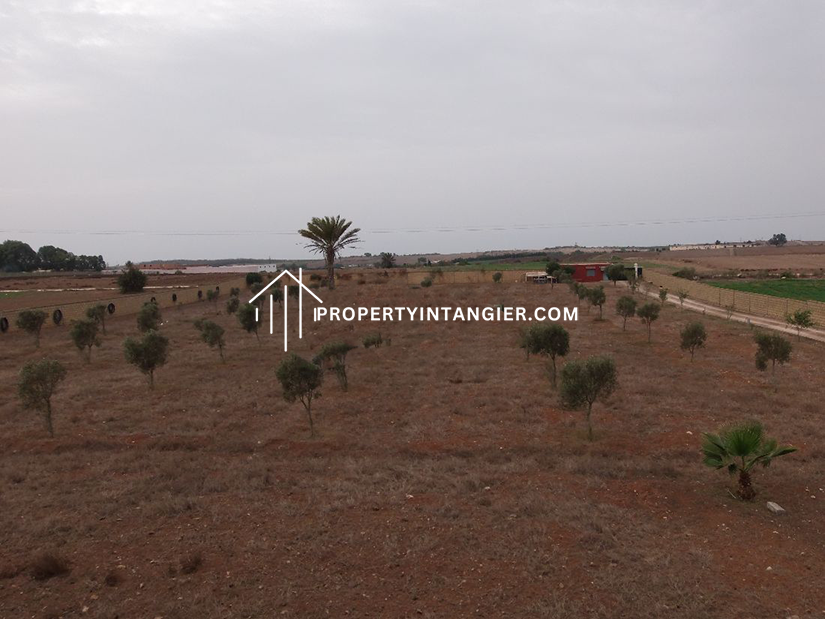 Find a farm to buy in Achakar, Tangier 2023