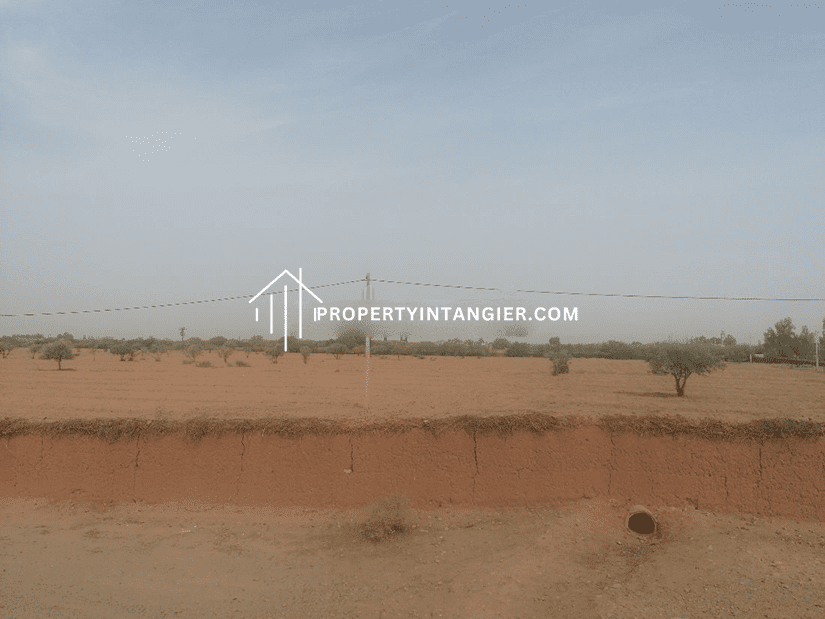Farm to purchase in Hakama, Tangier 2023